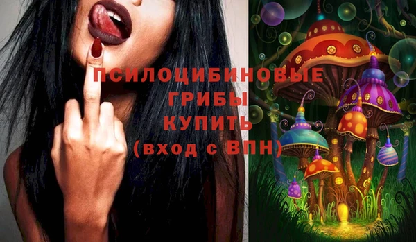 jwh Богородск