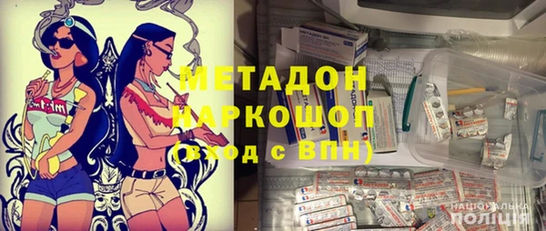ГАЛЛЮЦИНОГЕННЫЕ ГРИБЫ Тайга