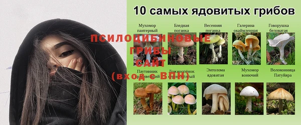 MDMA Premium VHQ Богородицк