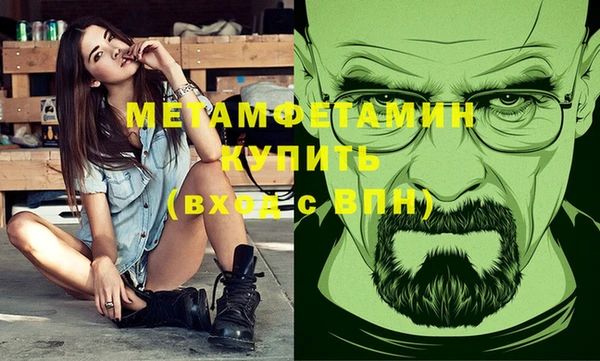 ГАЛЛЮЦИНОГЕННЫЕ ГРИБЫ Тайга