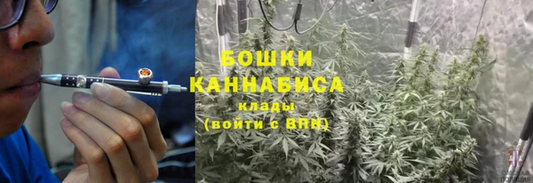 прущие крисы Богданович