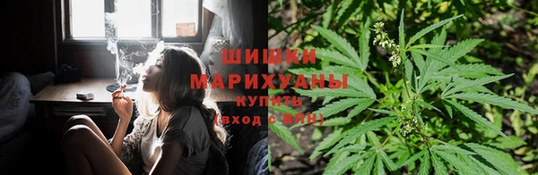 jwh Богородск
